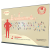3m Wide Roller Banner Premium Stand